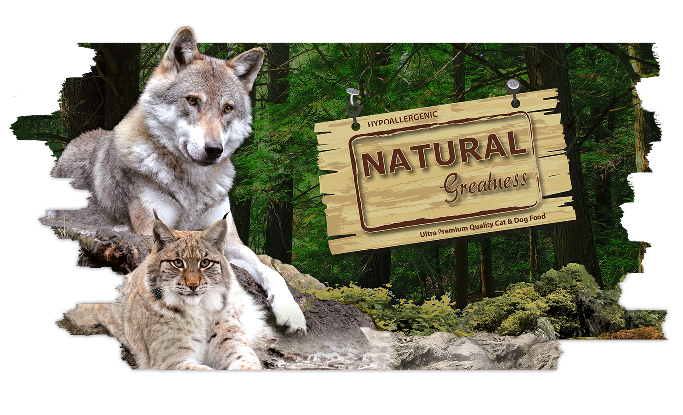 Home para natural greatness rm peluquería canina guadarrama