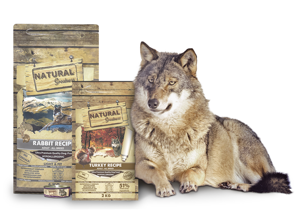 peluquería canina guadarrama